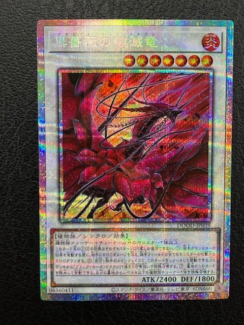 遊戯王 黒薔薇の破滅竜 プリズマ 3枚 DOOD-JP039 プリシク ◎遊戯王 黒薔薇の破滅竜 DOOD-JP039 プリズマティック