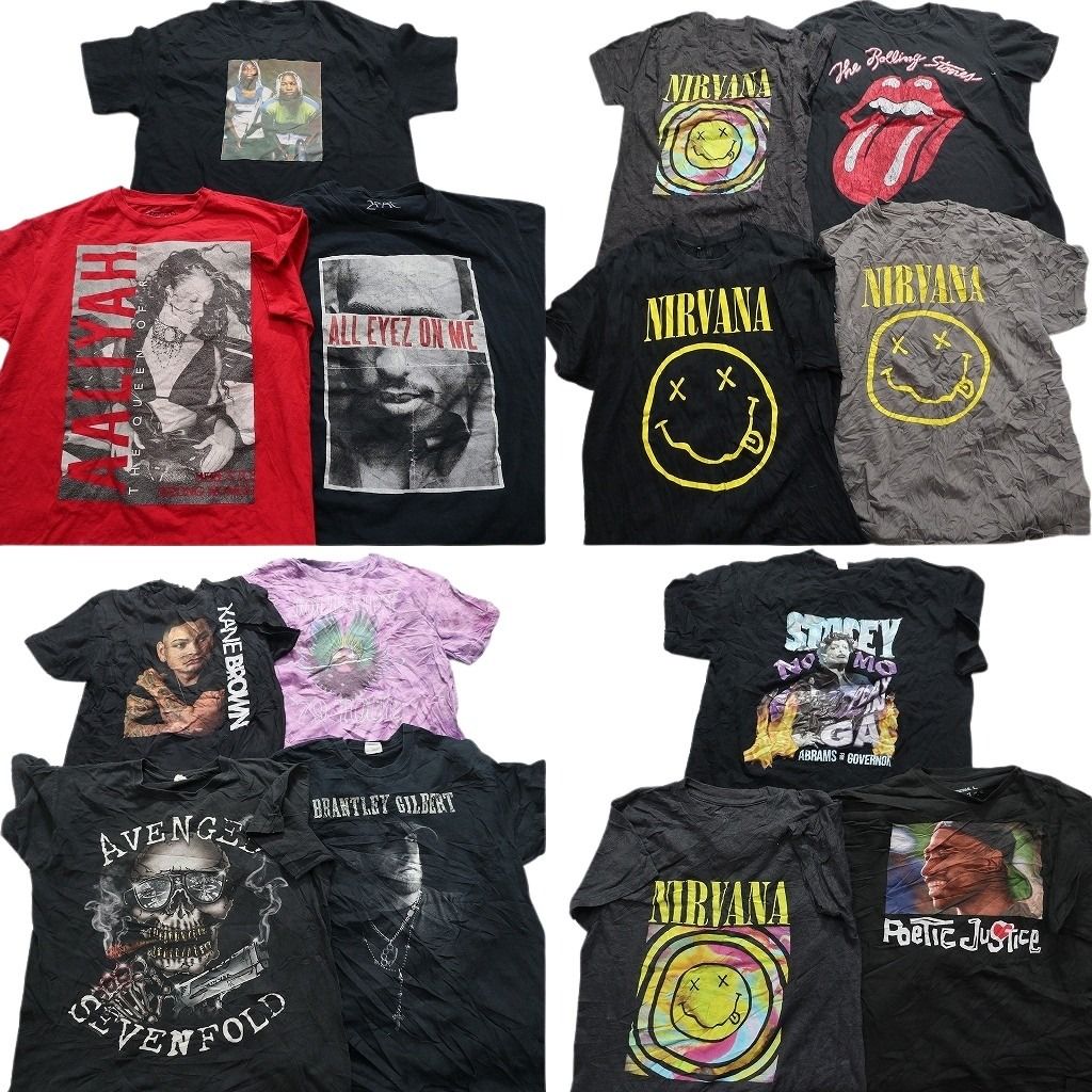 古着卸 まとめ売り 音楽・バンド 半袖Tシャツ 14枚セット (メンズ Ｌ ) ツーパック  アヴェンジドセヴンフォールド 中古 古着 MZ8952