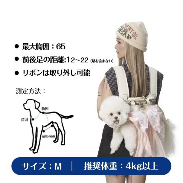 小型犬