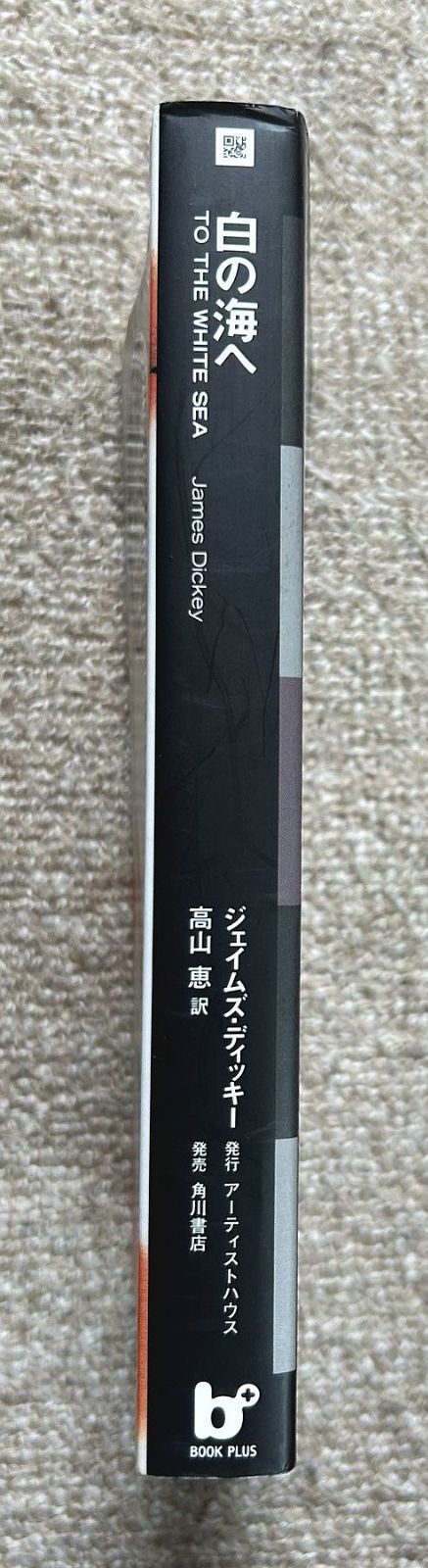 白の海へ