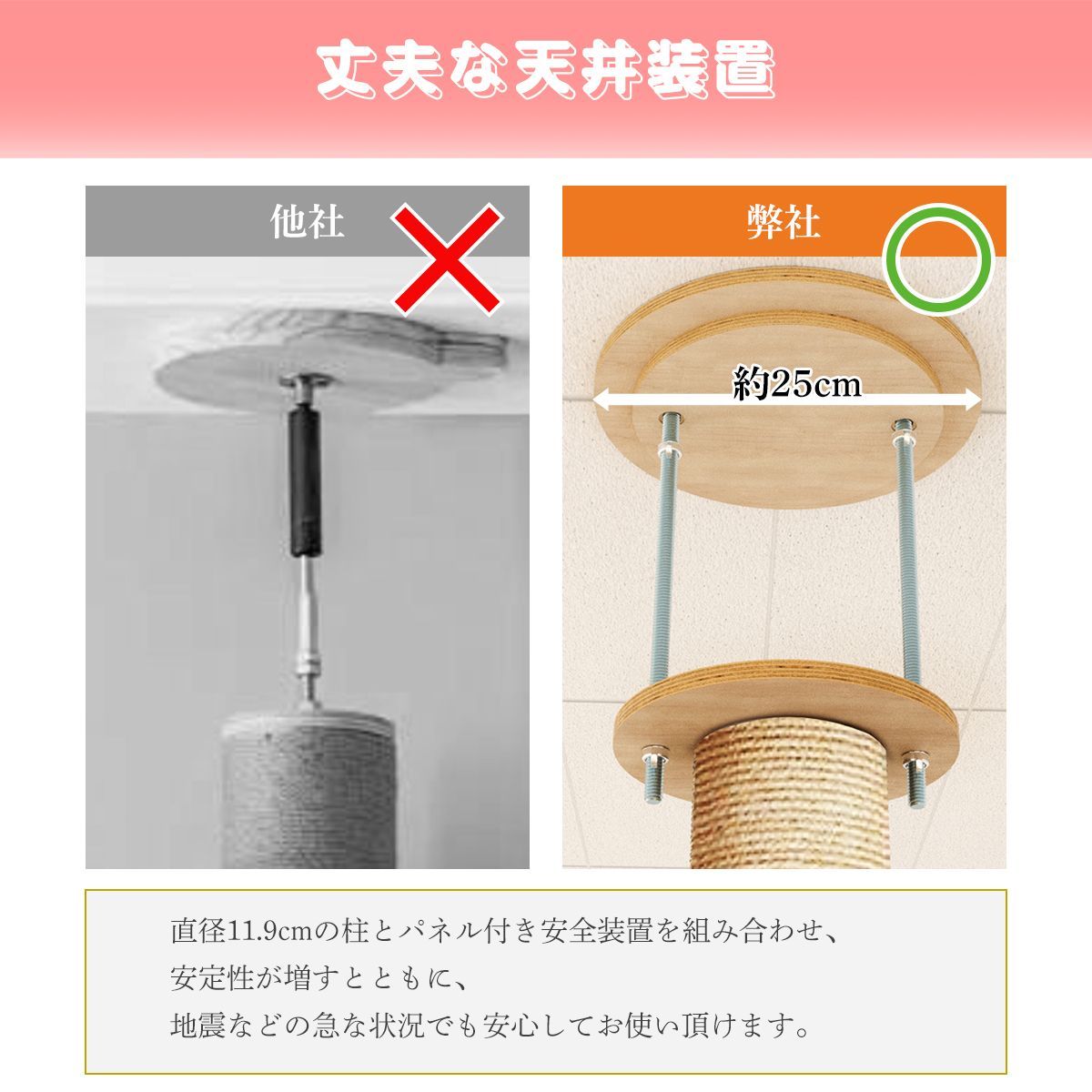 多頭飼い 賃貸