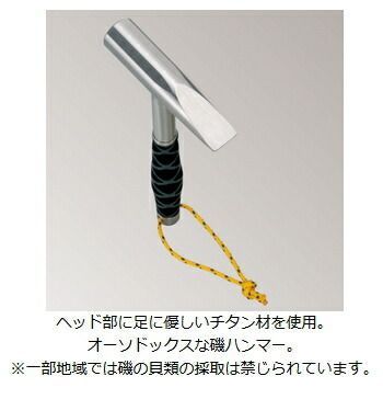 イシダイキングチタンハンマー |