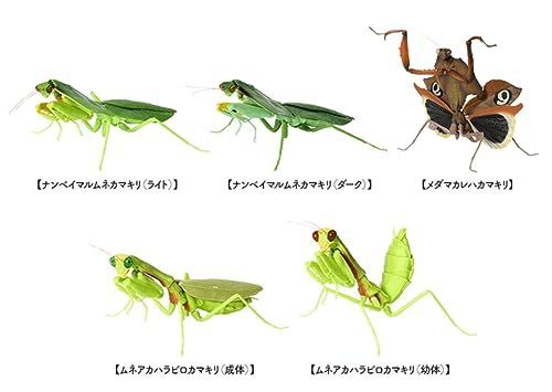 いきもの大図鑑 かまきり04 × 全5種セット フルコンプ ガチャガチャ