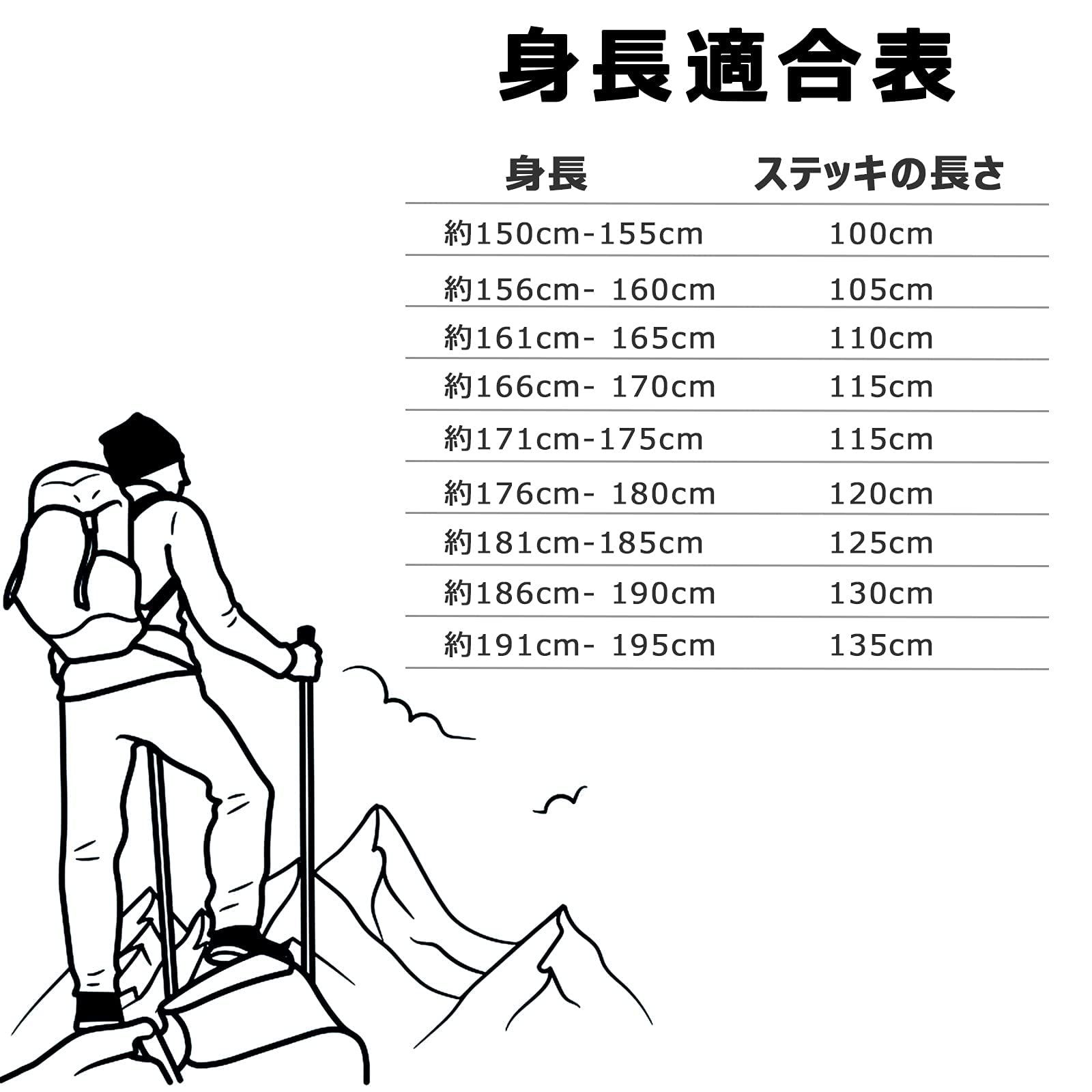 コンパクト