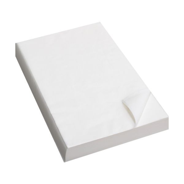 うめこマンさん専用 メガバス デストロイヤーエボルジオン ヘッジ