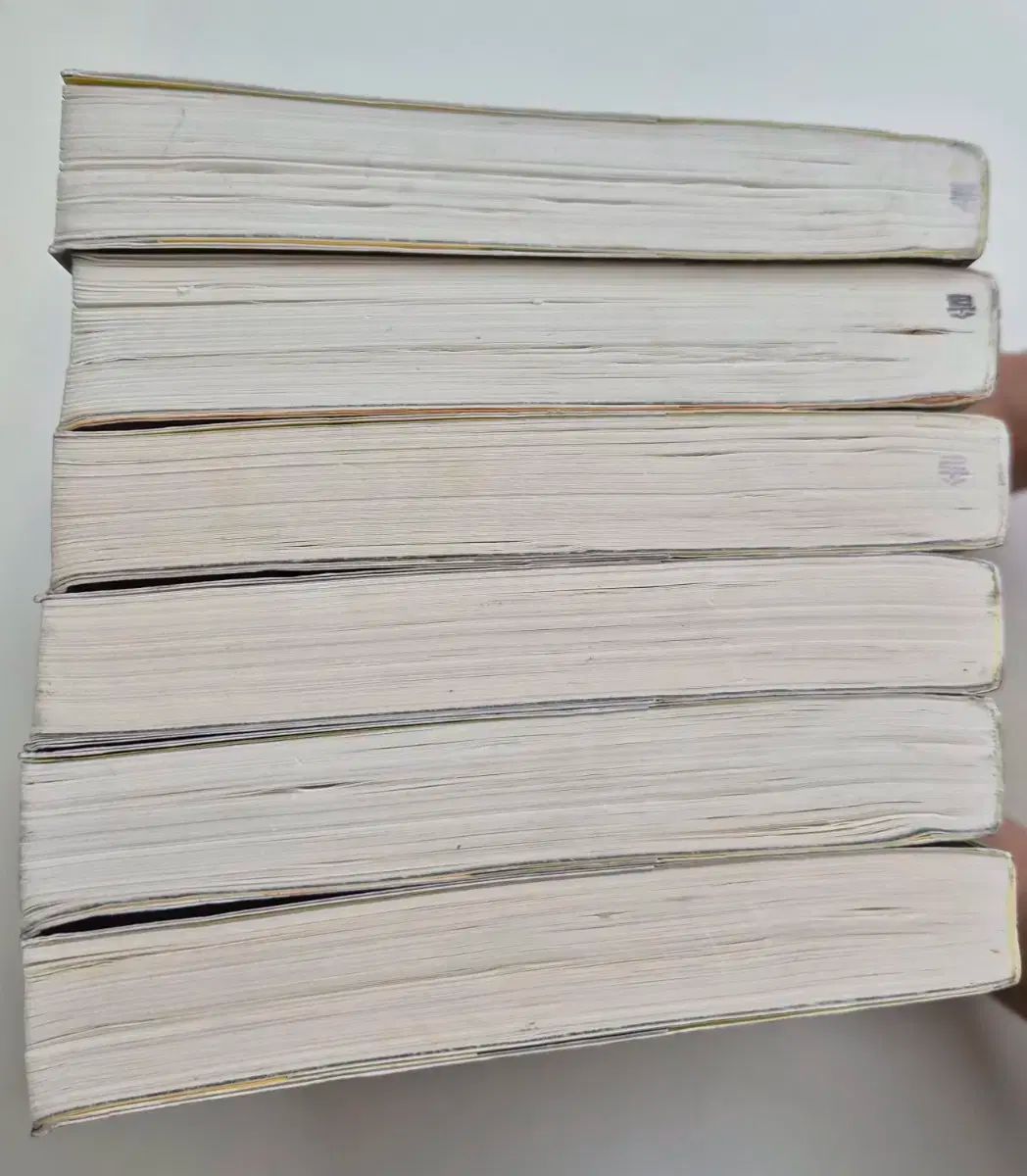  ウォリアーズ戦士たち 第1部 巻1-6 セット 文学 小説 本