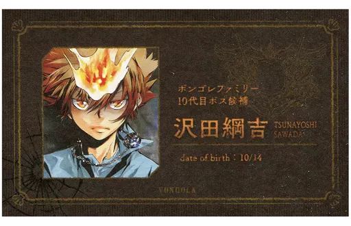 沢田綱吉 ジャンプ展 特典 中古】キャラカード 沢田綱吉(家庭教師ヒットマンREBORN