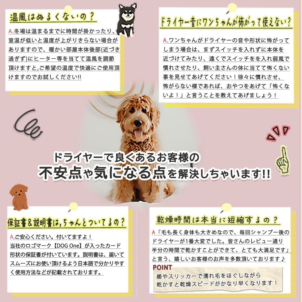 中型犬