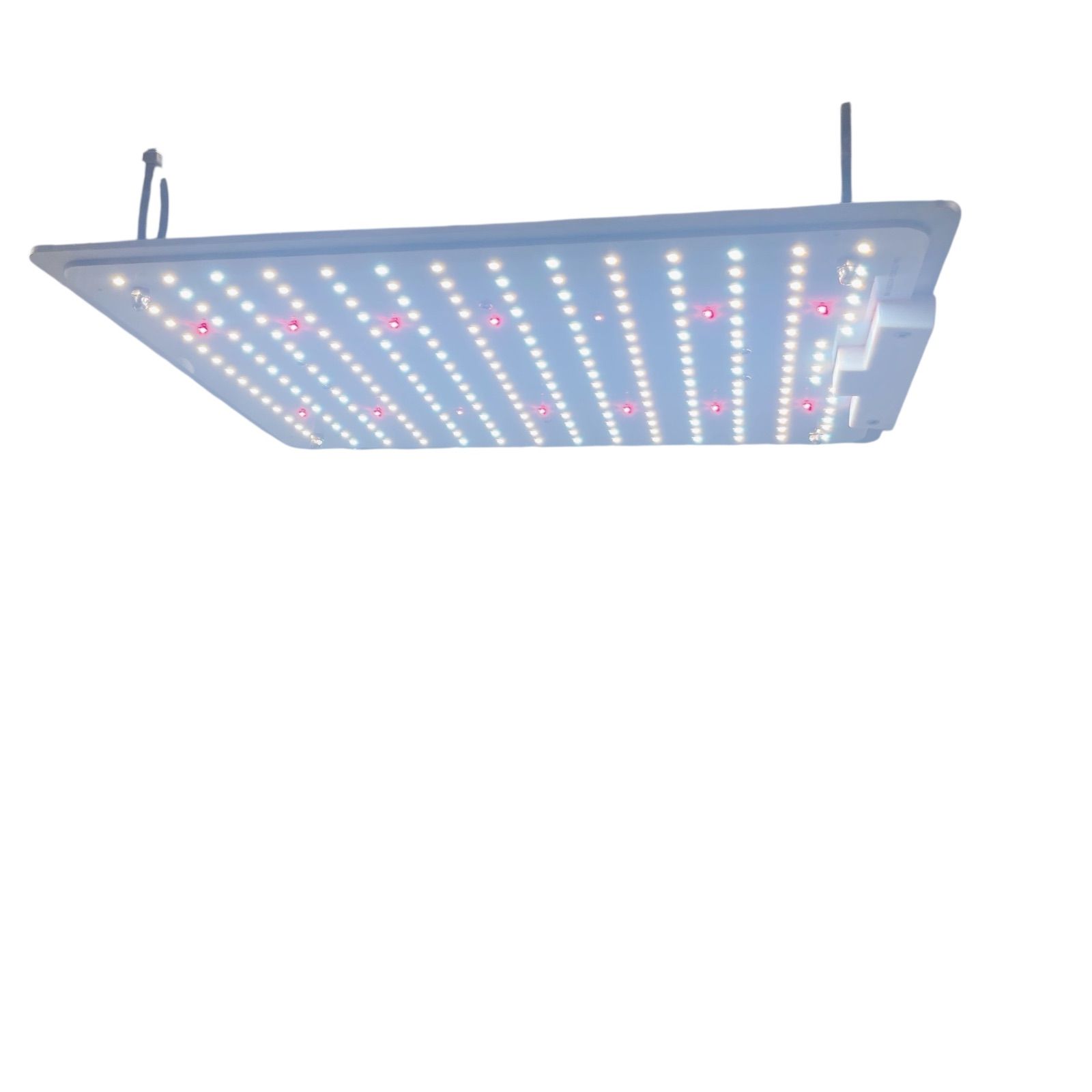 LED植物育成ライト2個セット 1000w 白色 フルスペクトル 3000k 5000k YUZUMIYA_COM