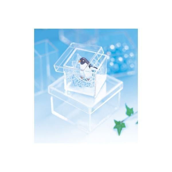 人気定番，SALE (業務用セット) キャパティ ソリッド スクエア／オープンタイプ CSD-K2 クリア〔×10セット〕 その他