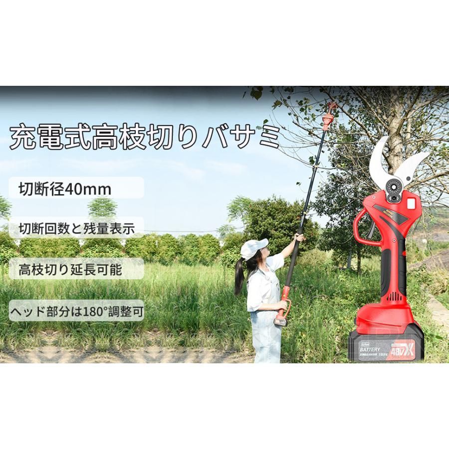 電動チェーンソー 高枝切り鋏