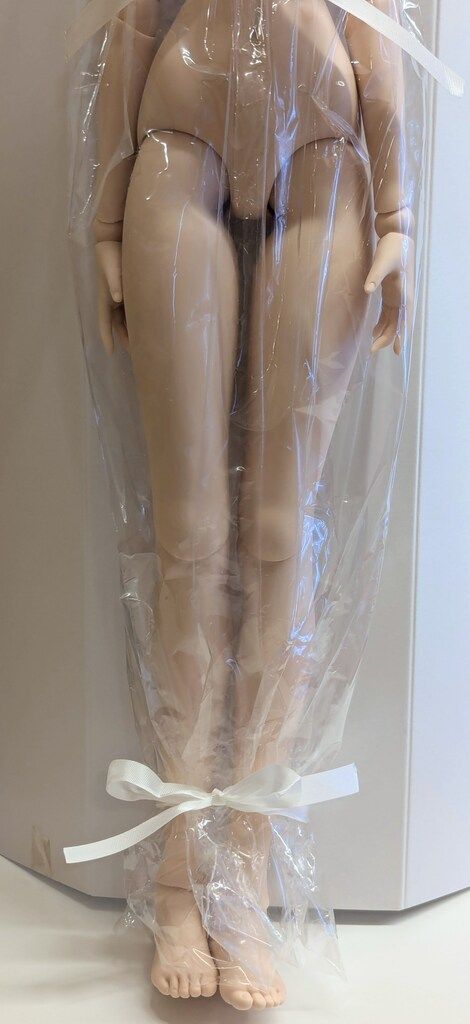 DD 放課後秋葉原ガールズ