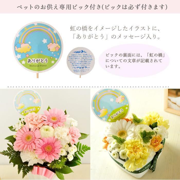 ピック付き