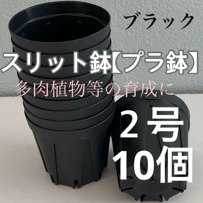 クラックスリット 鉢 ブラック 入手困難】クラックスリット鉢 12 Tall