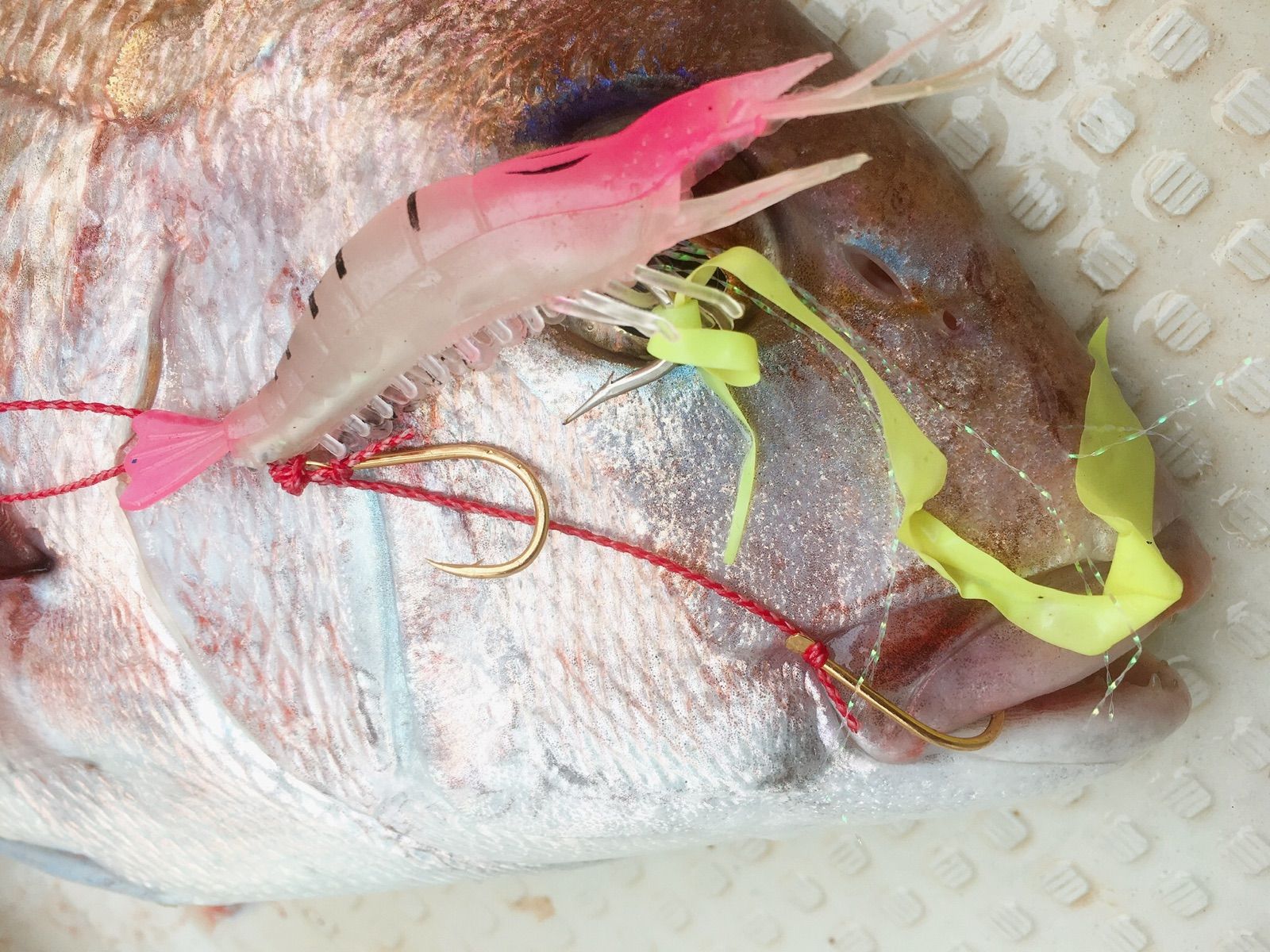 真鯛釣るなら！【シュリンプ鯛ラバ ピンク夜光3種セット】タイラバダイワがまかつ - メルカリ