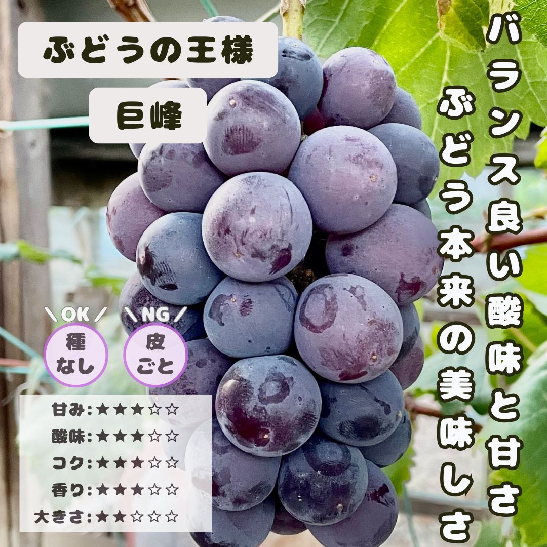みかせん様専用 【夏ギフト】シャインマスカット 入り岡山県産