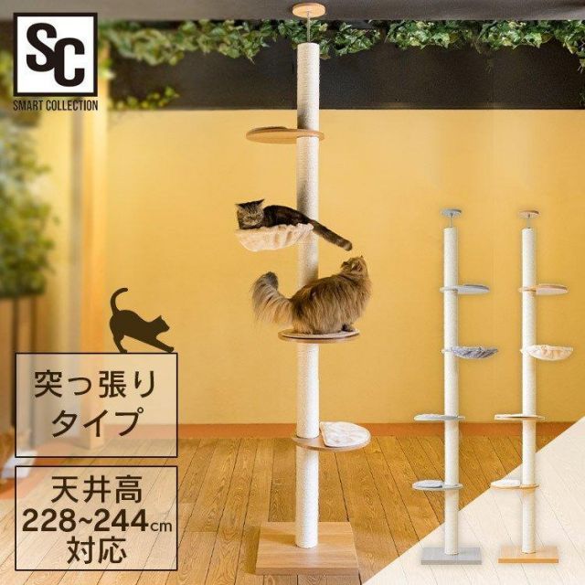 公式 キャットタワー 木製 突っ張り 猫 爪とぎ 猫タワー ハンモック ベッド おしゃれ キャット タワー 多頭飼い KCCT-244 アイリスオーヤマ