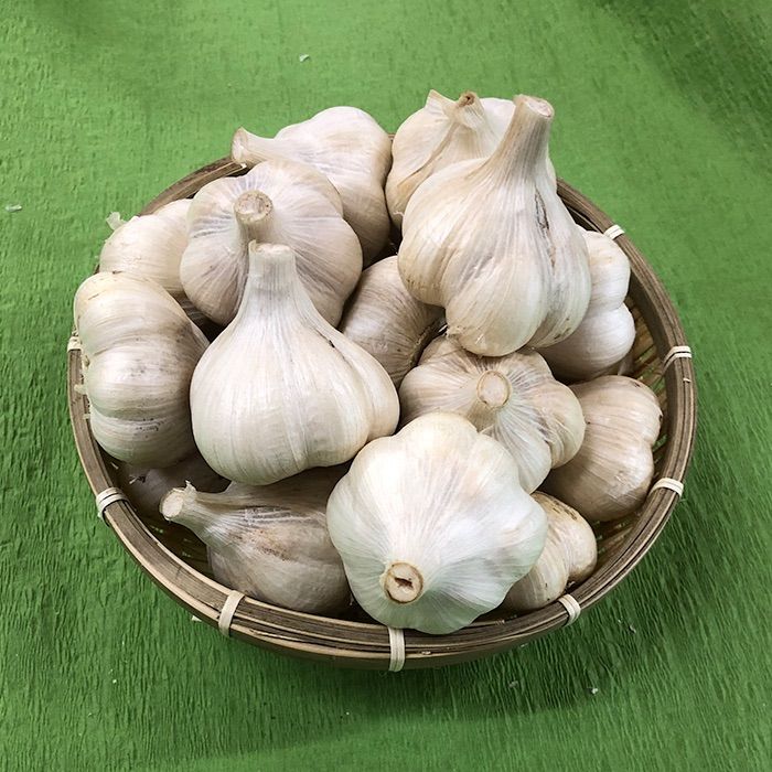 【最上級品】青森県倉石産にんにく福地ホワイトLサイズ 2kg  Mサイズ2kg 最上級品】青森県倉石産にんにく福地ホワイト六片種2Lサイズ 2kg