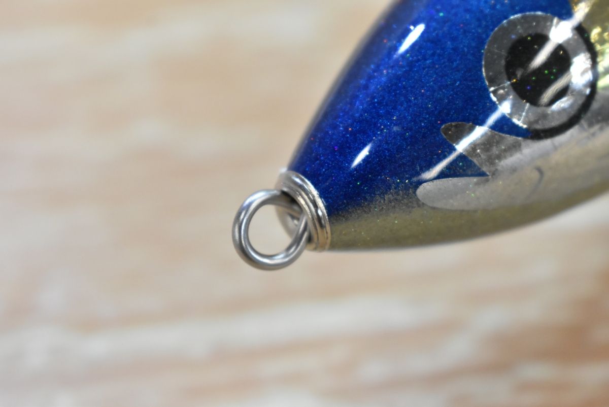 ブルーフィッシュ 100