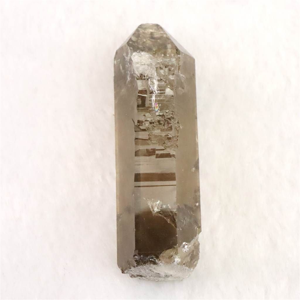 22.9g 榎本通商65739