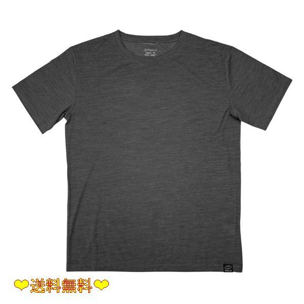 L_チャコールグレー Rasical ラシカル シープブレスTシャツ チャコールグレー|Lサイズ 数日着ても臭わない ノーベル賞素材の ティーシャツ メリノウール 無地 tシャツ 半袖tシャツ インナー 半袖 着心地の良いtシャツ メンズ