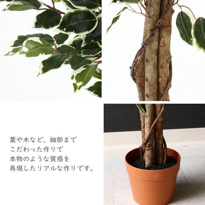 No.029 フェイクグリーン 観葉植物 フィカス ６９０ Ｂ - ユタス