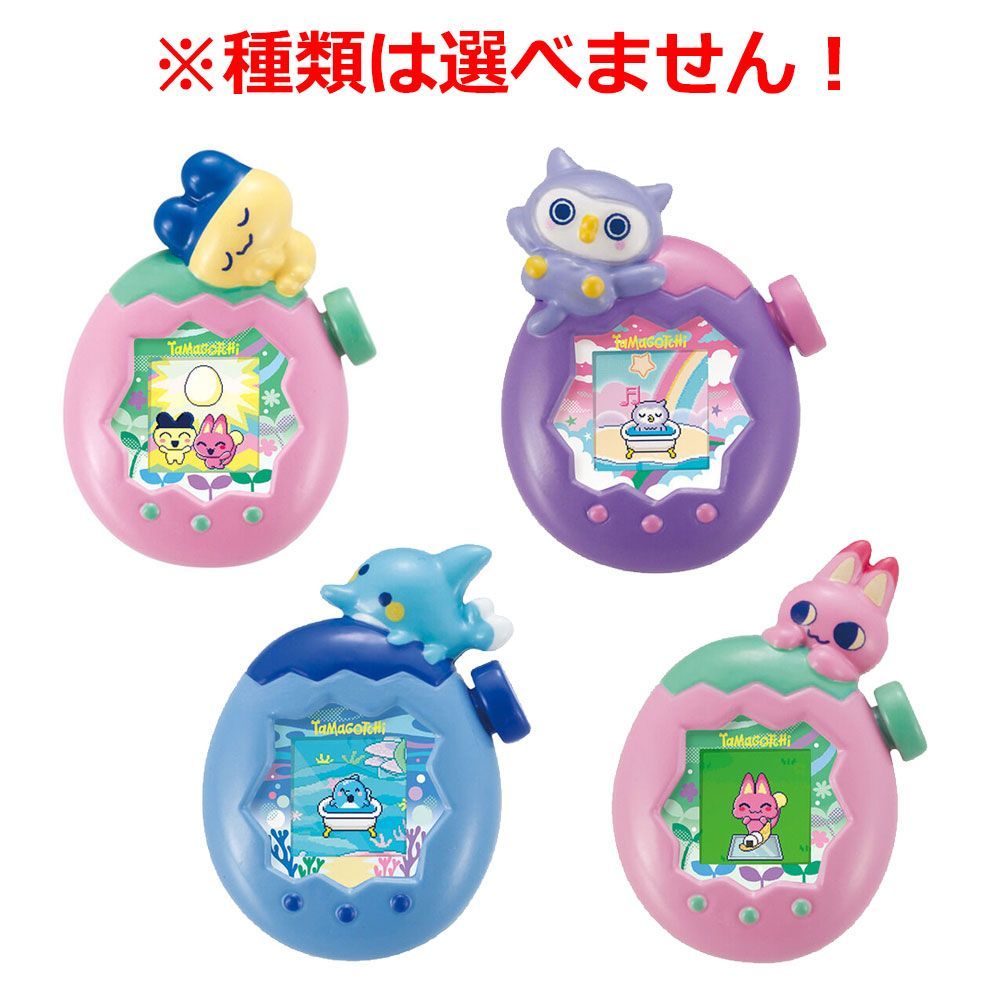 24個 セット びっくら たまご かわゆいヘアゴム たまごっちパラダイス シャボンの香り 1個入 バスボール 入浴剤 入浴料 バスボム 男の子 女の子 マスコット おもちゃ プレゼント 3才以上