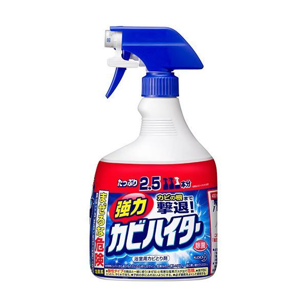 まとめ 花王 強力カビハイター 特大 本体1000ml 1個 ×10セット