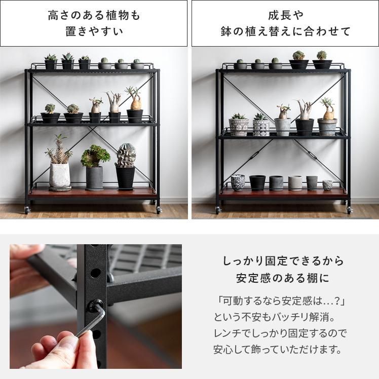 観葉植物 収納棚