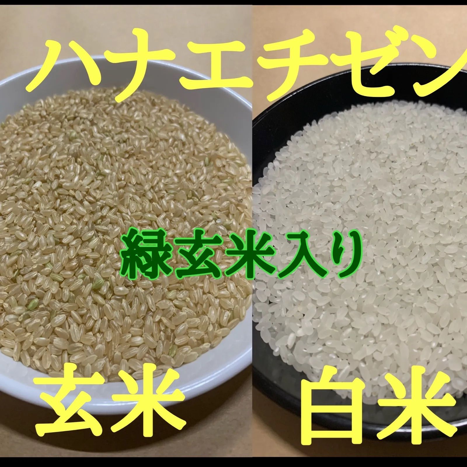 絶品 令和4年産 キヌヒカリ 新米 白米 20 キロ 淡路島産 20kg