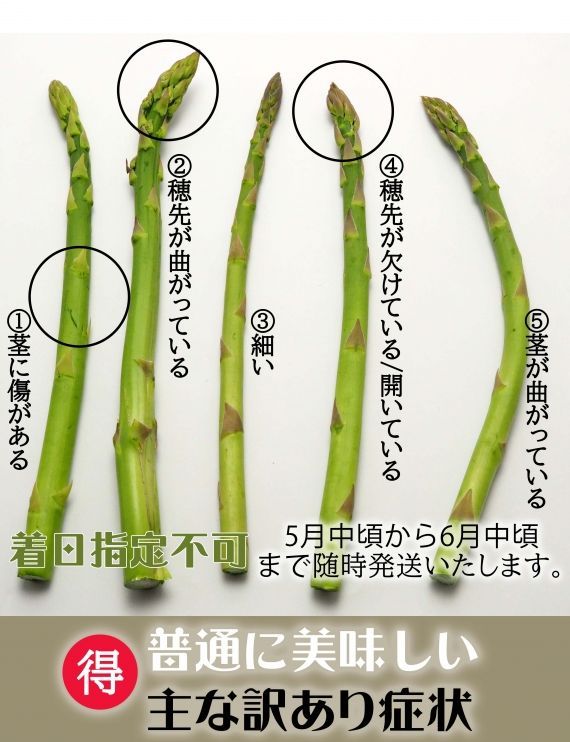 北海道 十勝産 アスパラ 訳アリ品 1kg 芽室 野菜 グリーンアスパラ 取り寄せ お土産 プレゼント