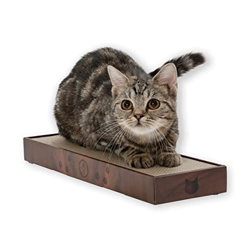 ふんばり猫 LivHeart 抱き枕 ぬいぐるみ 抱きまくら 猫 ねこ ふわふわ ねこ
