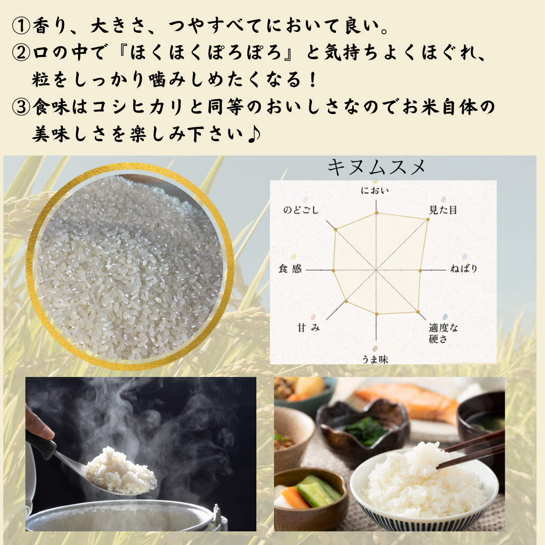 無農薬栽培 令和4年度 新米 愛媛県産 お米 きぬひかり 20kg 農薬不使用