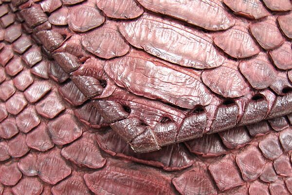 イビサ ショルダーバッグ ボルドー パイソン 中古 斜め掛け 蛇 - メルカリ