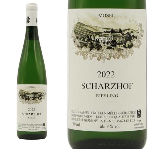 不動の人気No.1 シナモンが半透明ボトルで新登場！🩵 fillico.com 最新