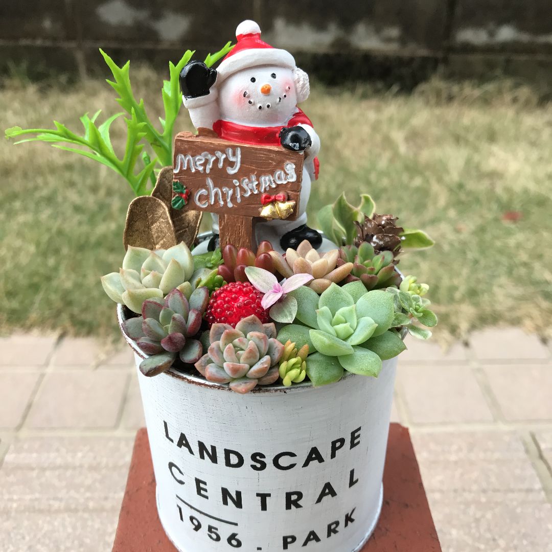 ☆多肉植物そのまま飾れる☆Merry.Xmas☆おうちにサンタさんがやってきた-