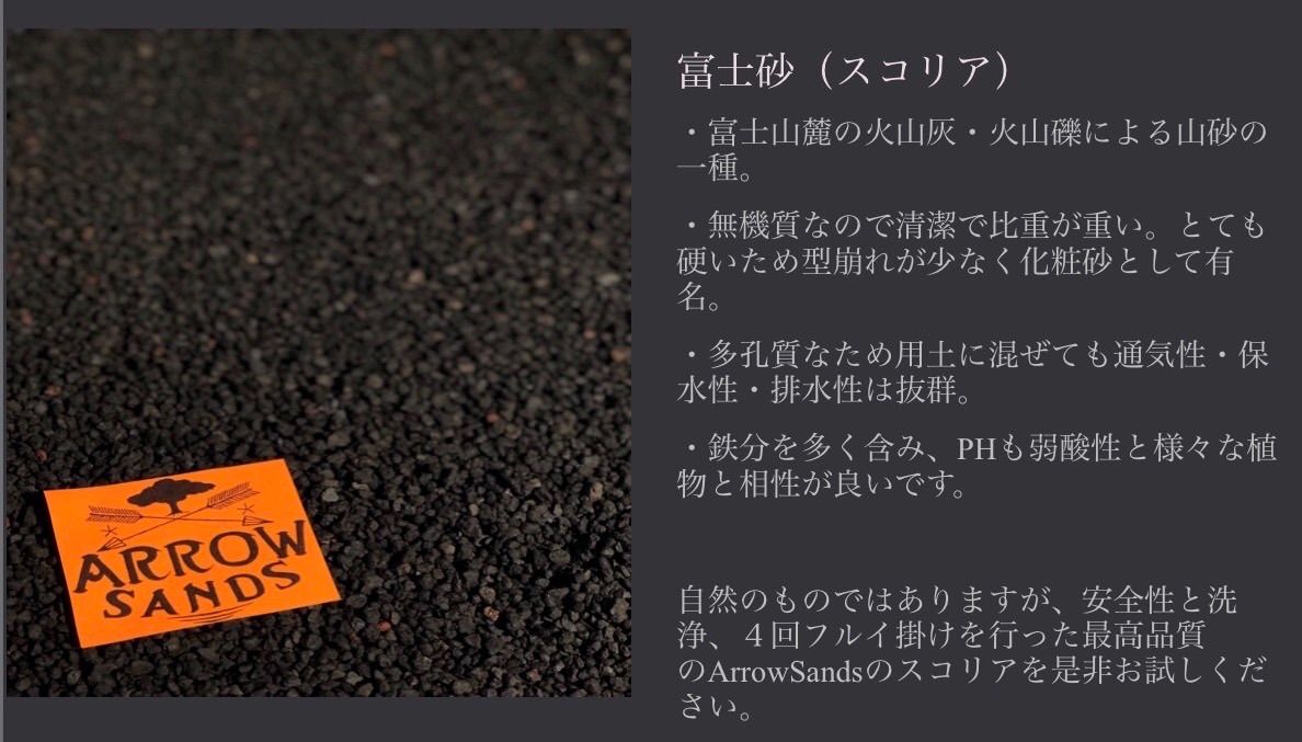 メルカリshops Wildサイズ Black 2 化粧砂 スコリア 富士砂 パキプス 塊根