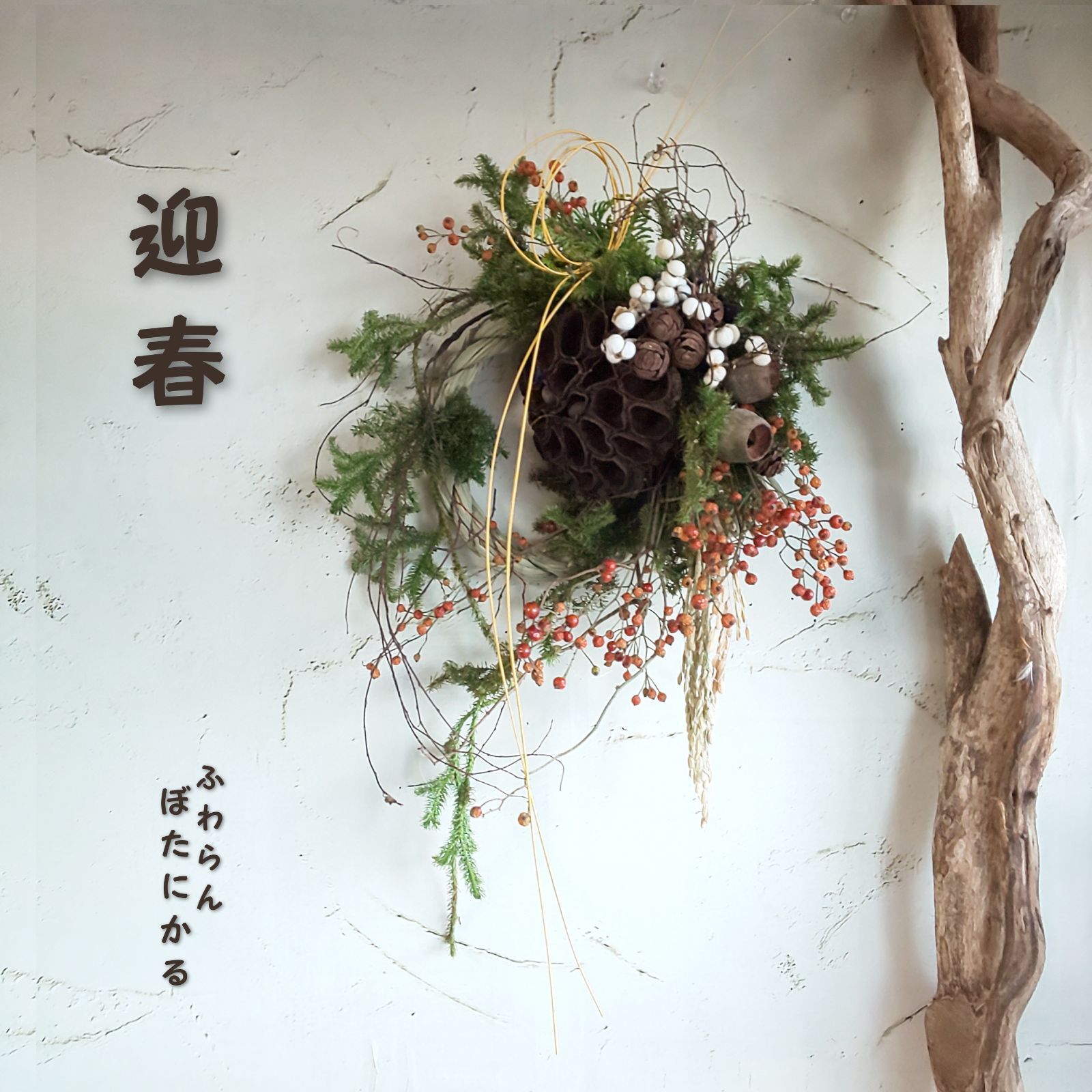 ✨迎春2022✨正月飾り 大きなハスの実(ドライ)