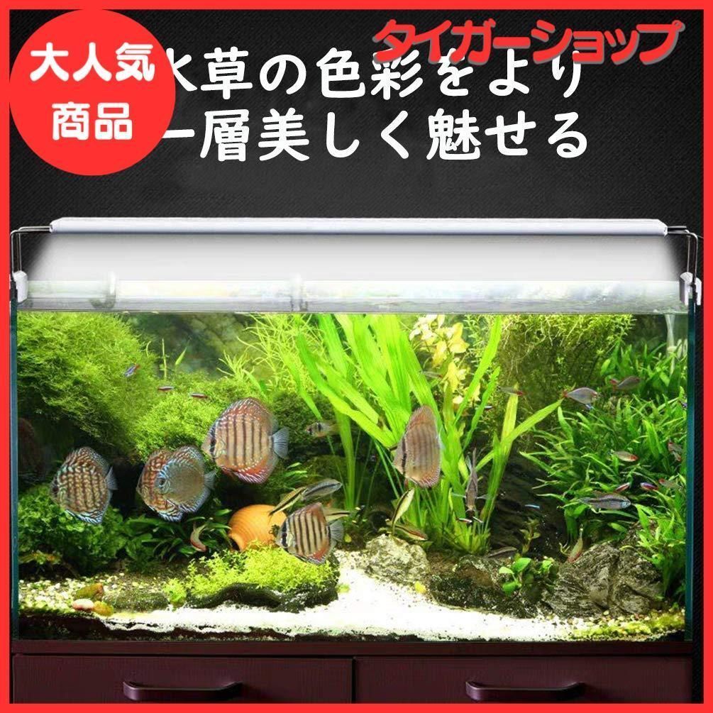 LEDGLE アクアリウムライト 14W led水槽ライト 72個LED 5060cm対応 熱帯魚/観賞魚飼育・水草育成・水槽照明用 省エネ 超薄い  (72LED灯) - メルカリ