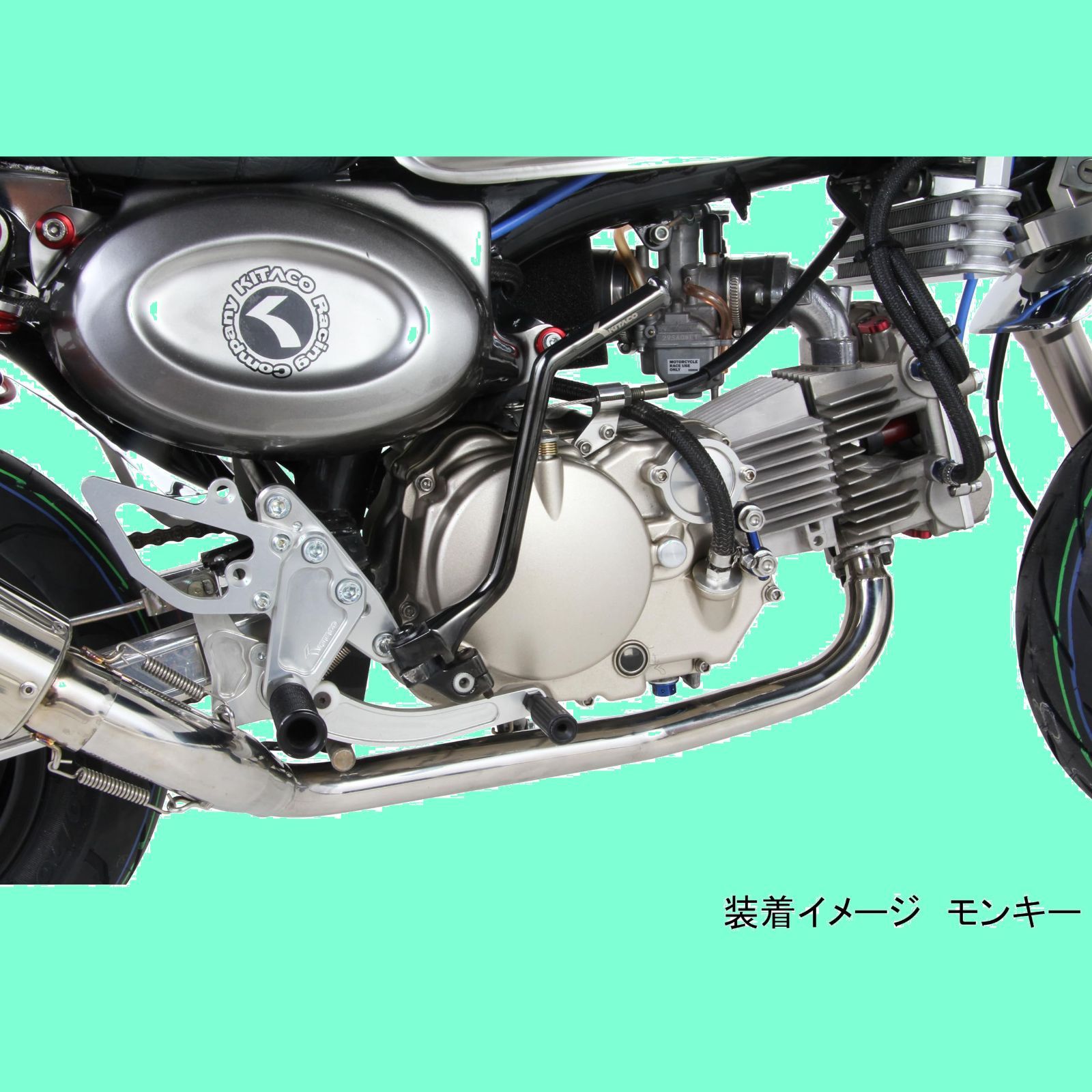 |シャリー|ダックス等