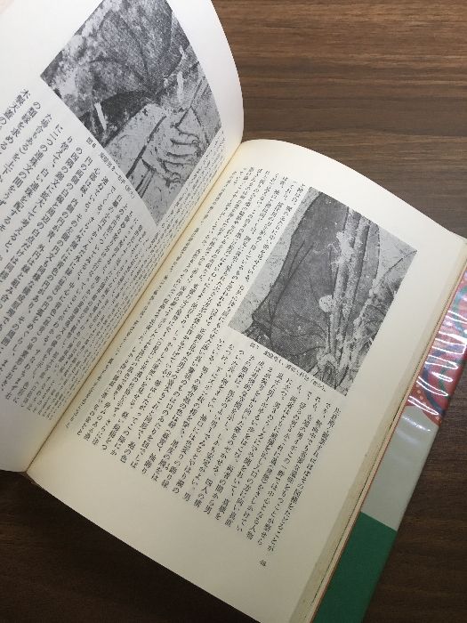 高松塚古墳と飛鳥】末永雅雄・井上光貞 昭和47年発行 初版本