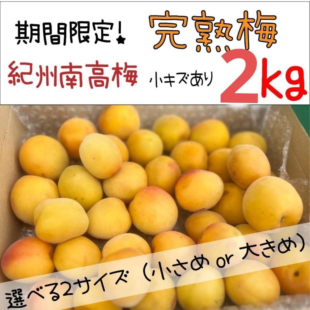 愛知県産 梅 15キロ 6月収穫後発送 クール便 クール便込み 青森県産 完熟 梅 豊後2kg 送料無料！ - メルカリ