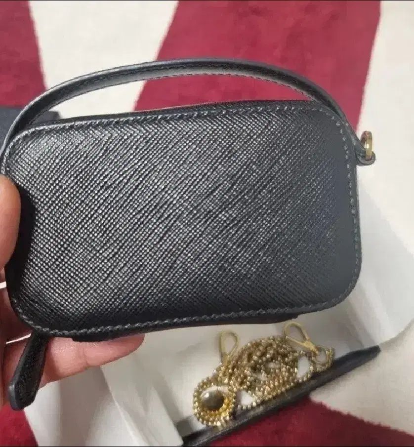 サフィアーノ ミニ