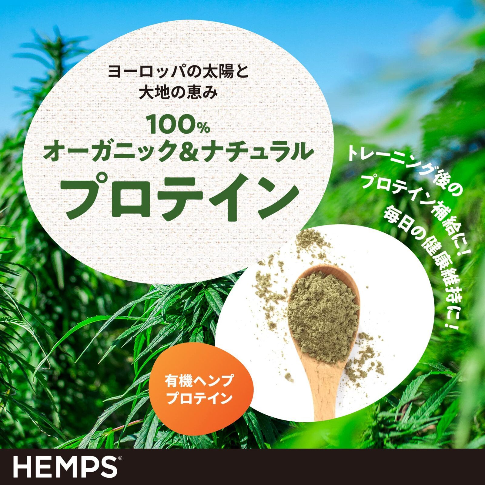 2個セット HEMPS 有機ヘンププロテインパウダー 140g オーガニック 無添加 レシピリーフレット付き