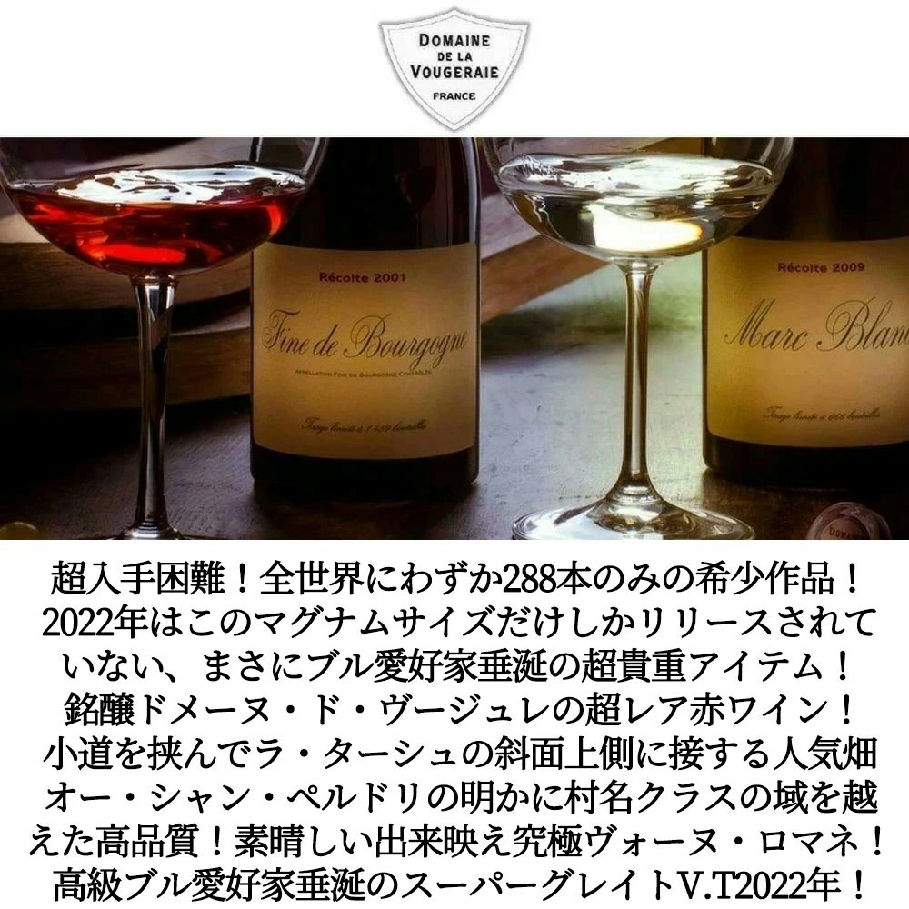 大型ボトル】ヴォーヌ ロマネ オー シャン ペルドリ 2022 蔵出し