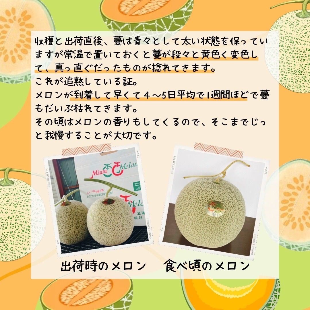 【終了間近！】赤肉メロン 8kg 4〜5玉入　ティアラ　秀品　北海道　蘭越町
