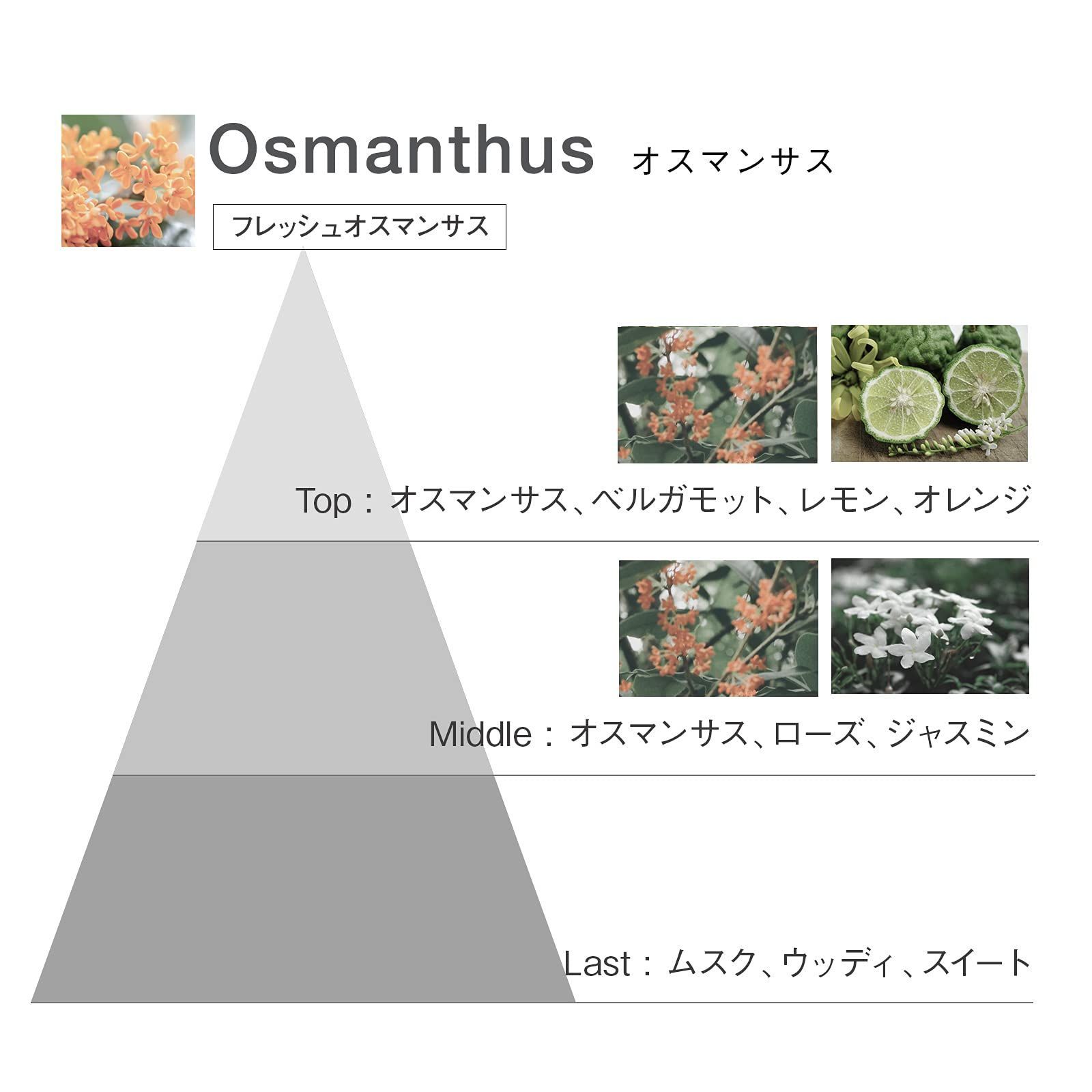 みみり様専用⭐︎TAMBURINS パールケース PUMKINI セット - 香水(ユニ