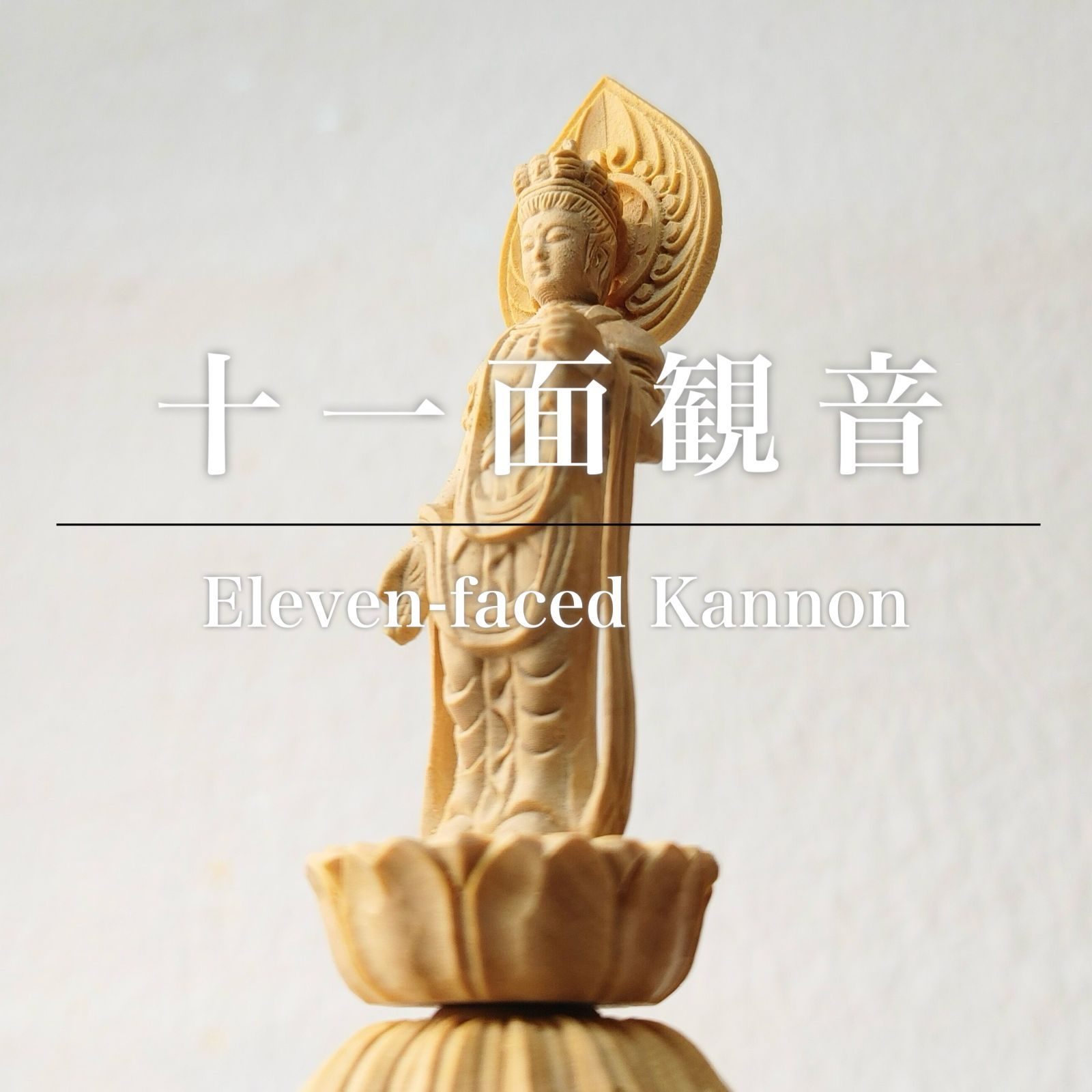 蝶標本 チトヌストリバネアゲハ トリバネアゲハ コレクション 世界三大