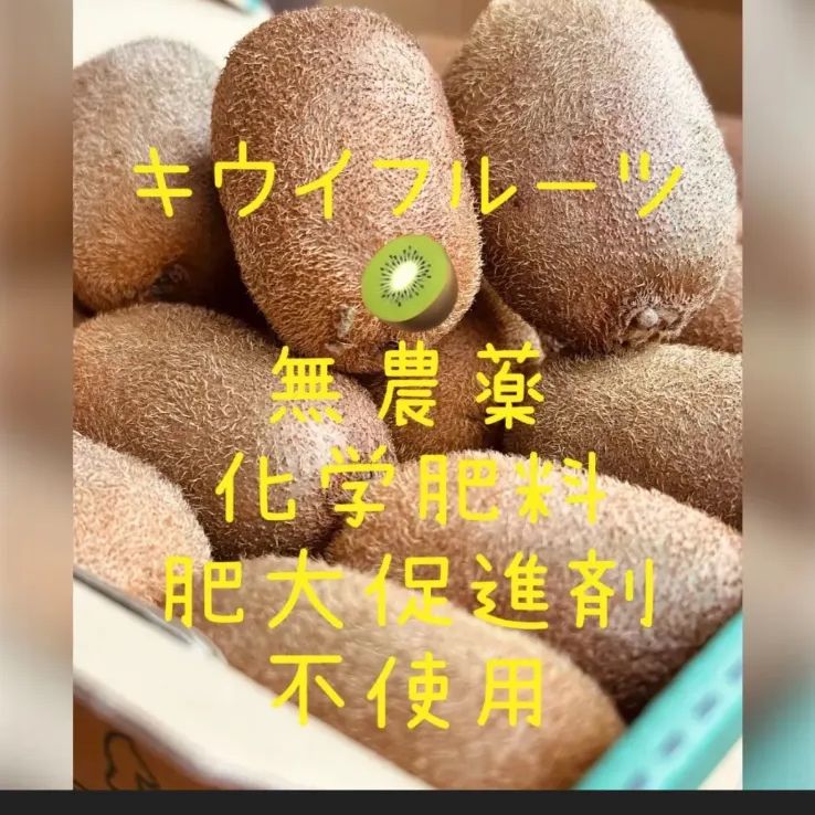 農薬・化学肥料不使用！自然栽培キウイ 18〜21個 - メルカリ