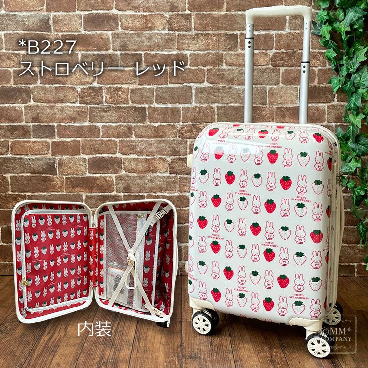 機内持ち込み可